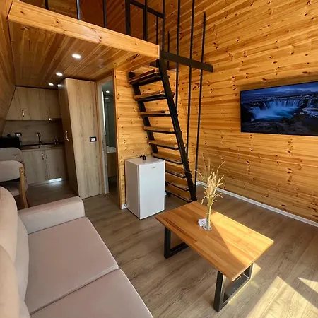 Doel House Zues Шкодер